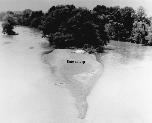 site-este-asleep site-este-asleep